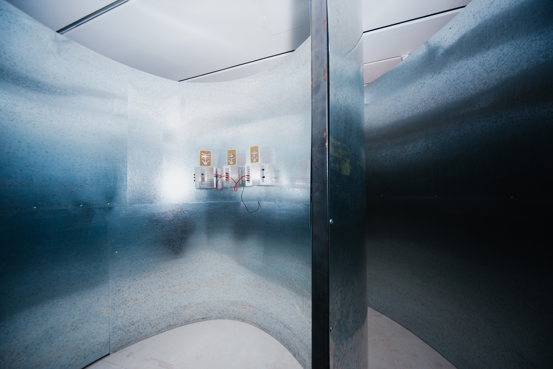  Выставка «Заговор тополей». Акт II: Живое обречено жить