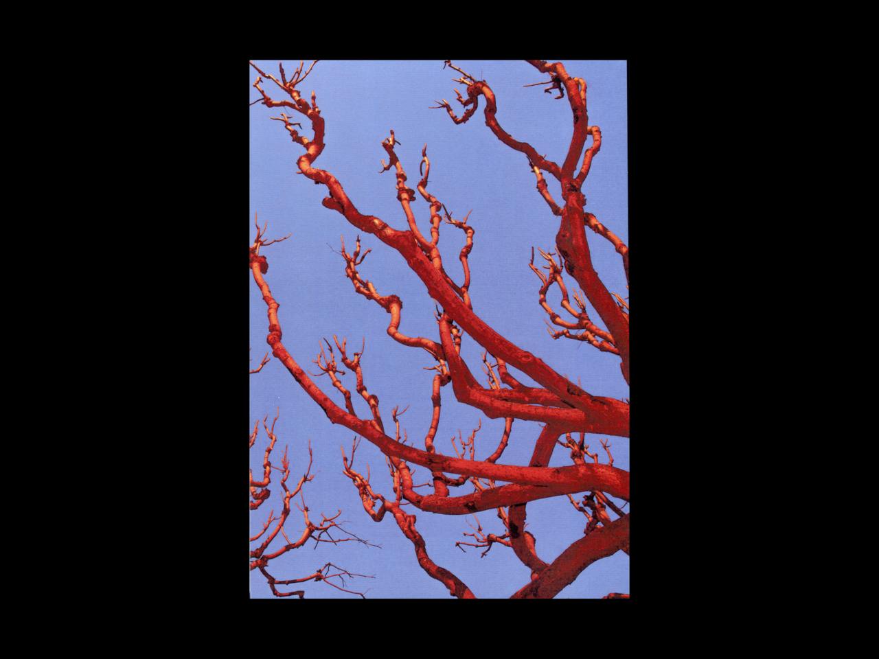 Галерея «Виктория» на ярмарке волжского искусства «Размером с книгу»