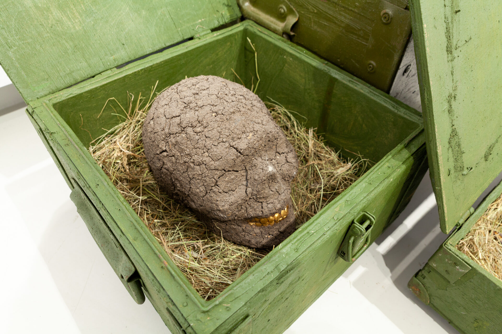 Выставочно-исследовательский проект «ЗНРСО»