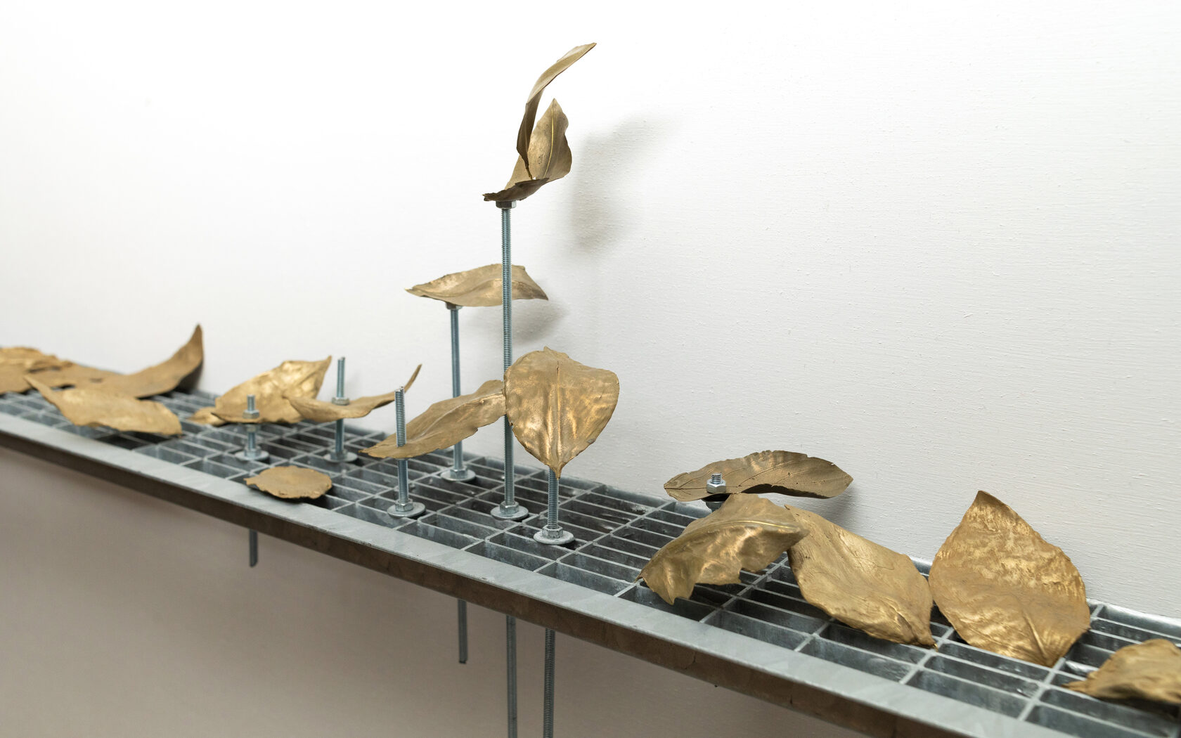 Осенний аукцион современного искусства в Самаре 2024