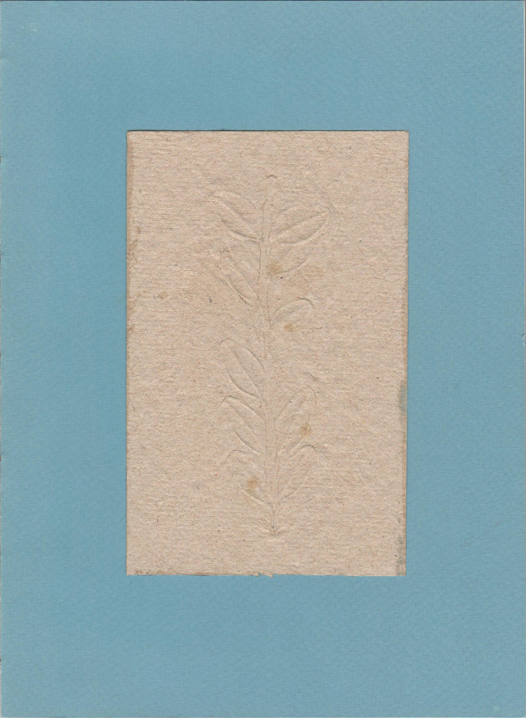 Про деревья, насекомых и людей