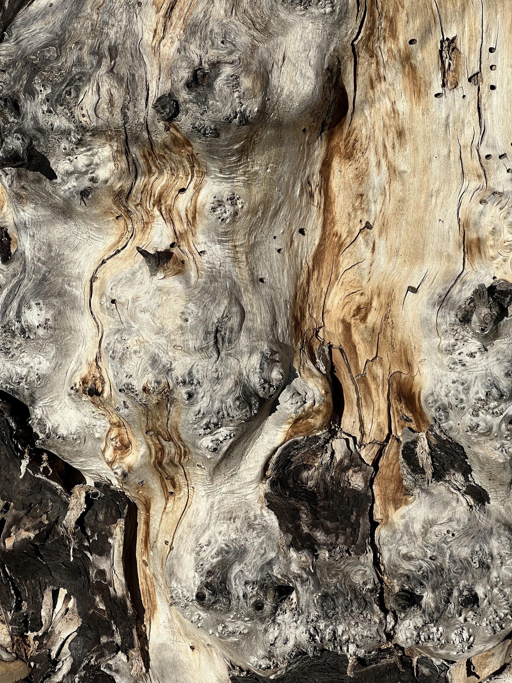 Однодневная выставка 