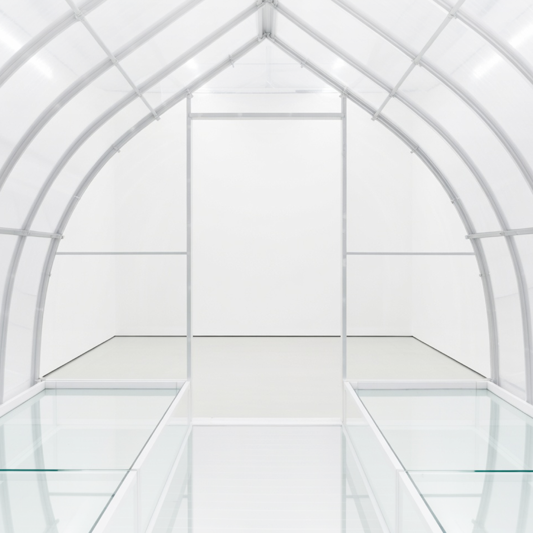 Выставка «Убежище. Заговор тополей. Акт III»