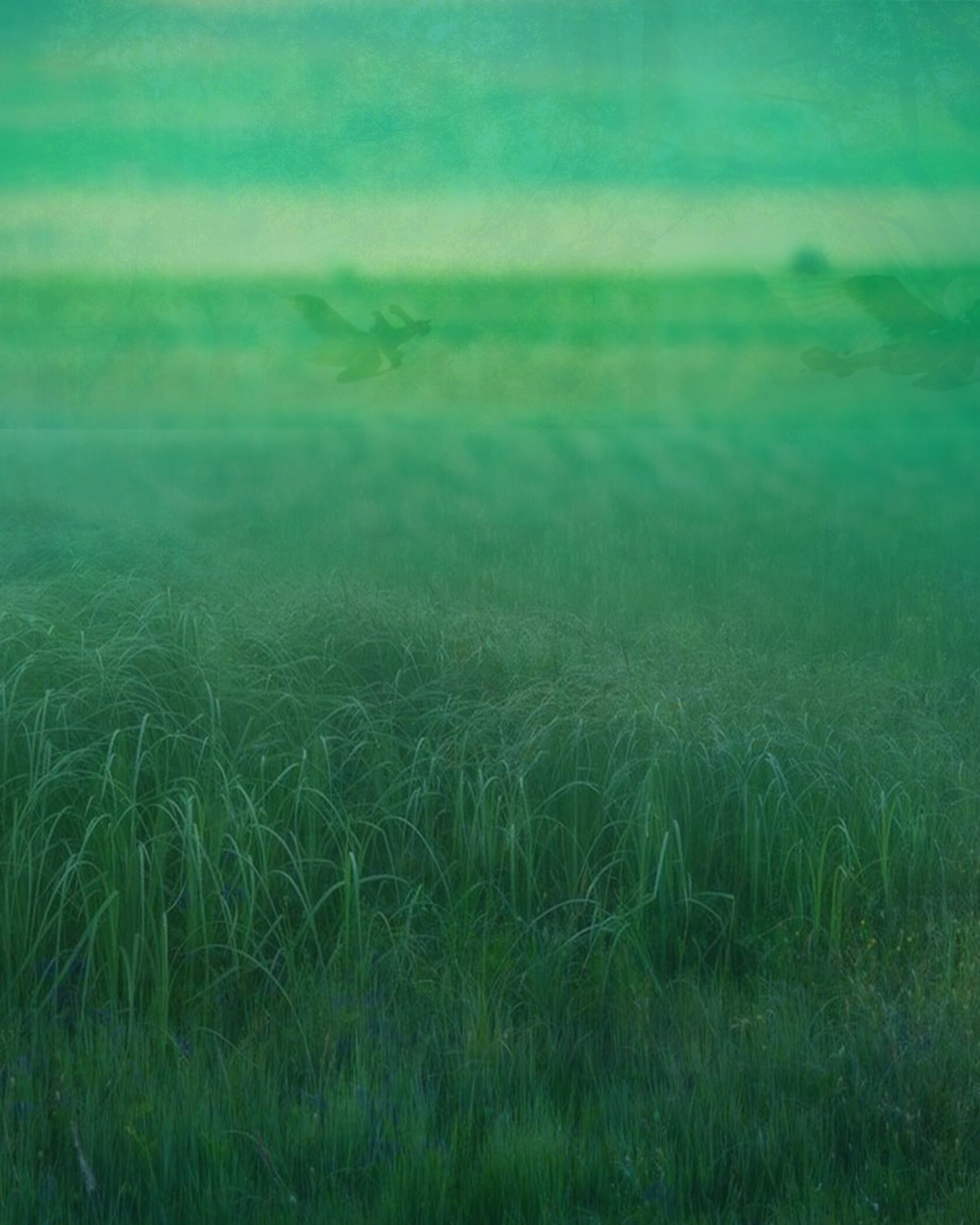 Выставка «Айги.<br>Лето с ангелами»