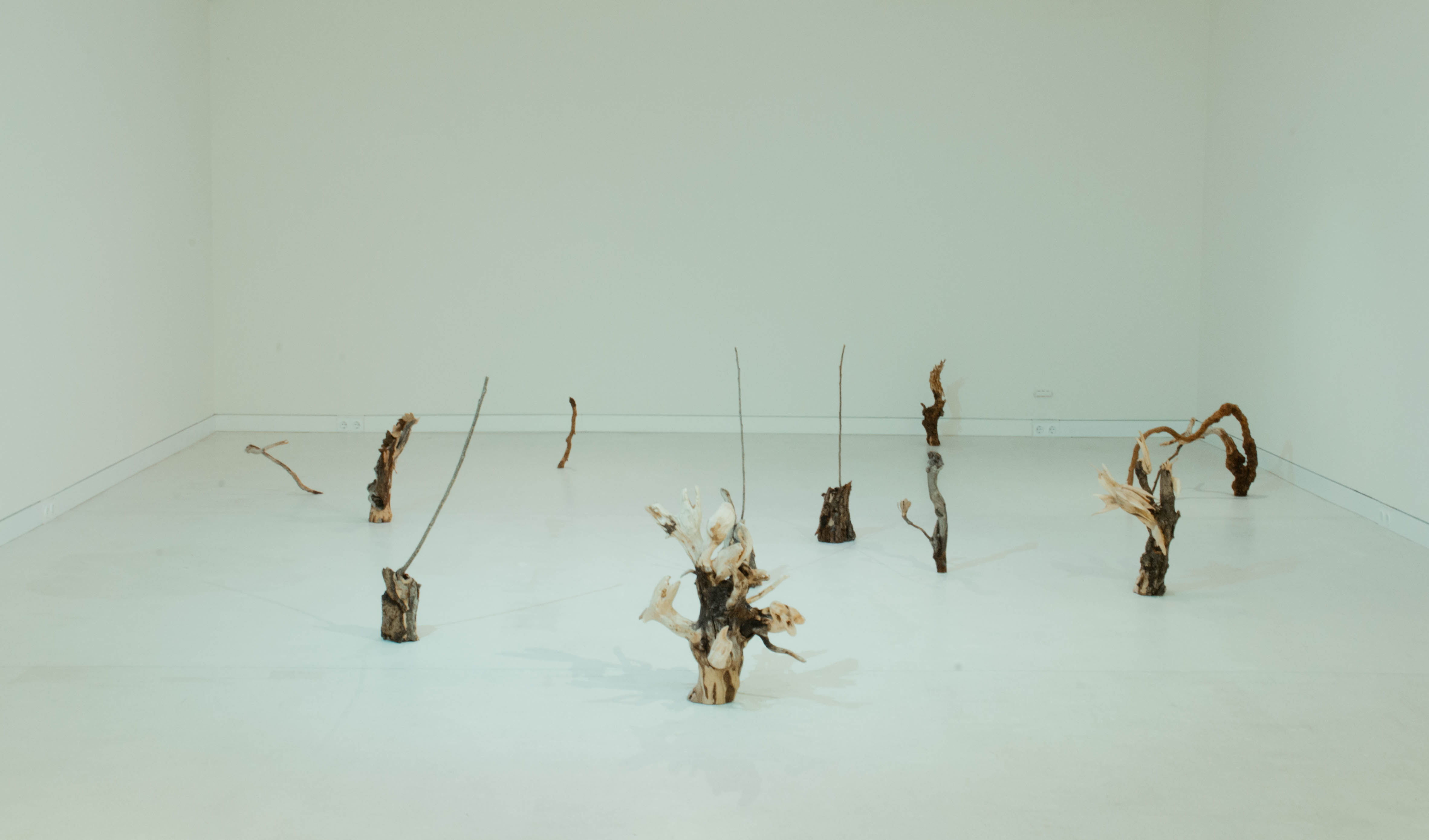  Выставка «Заговор тополей». Акт I: «Хора»