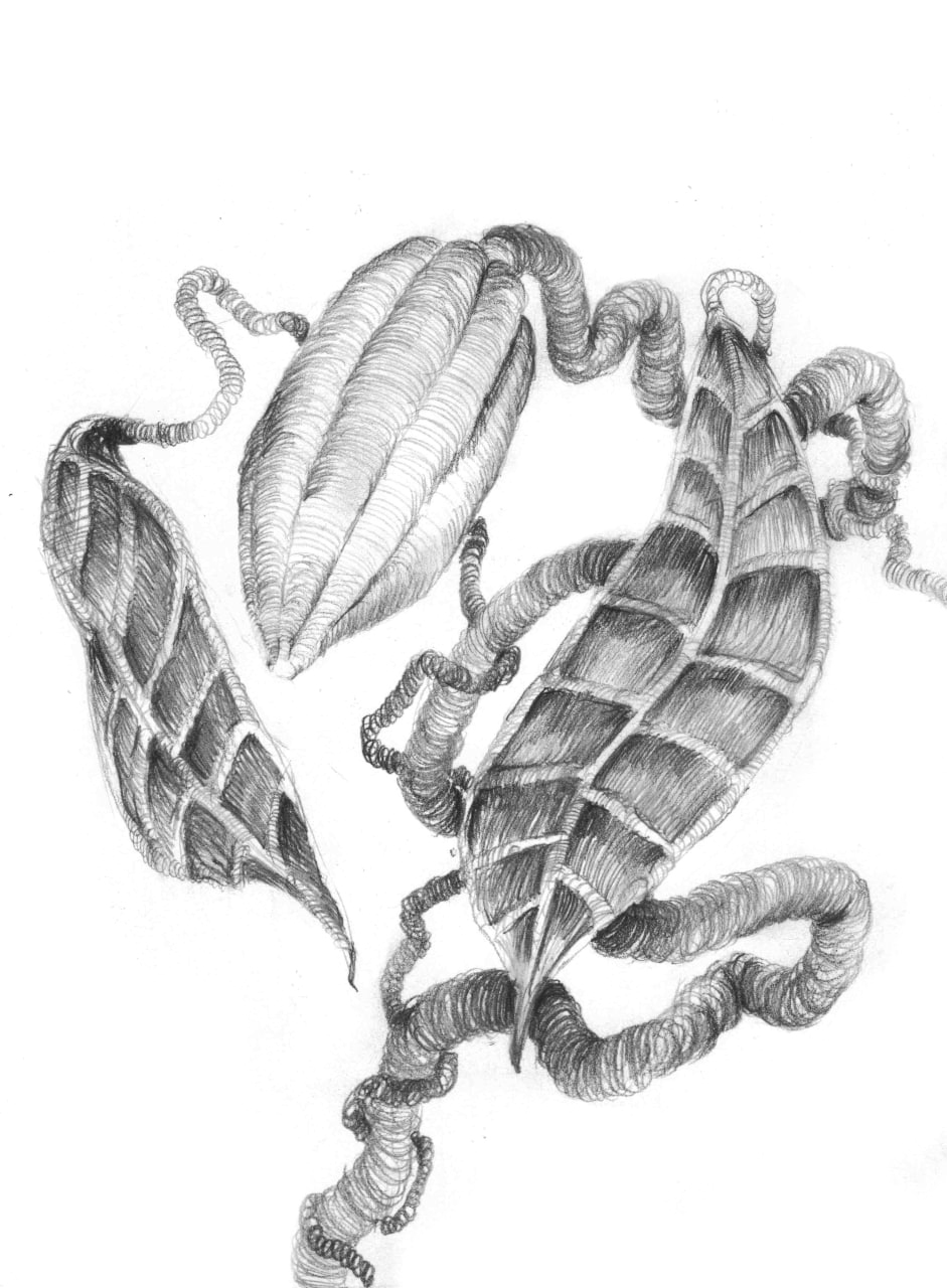 Выставка Алексея Журавлева 