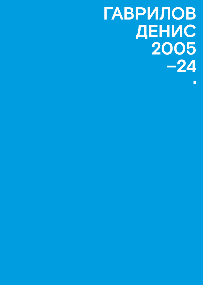 Денис Гаврилов 2005—2024