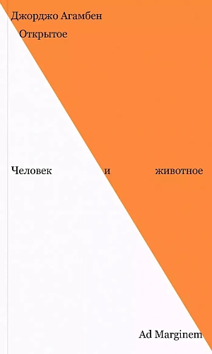 Открытое. Человек и животное