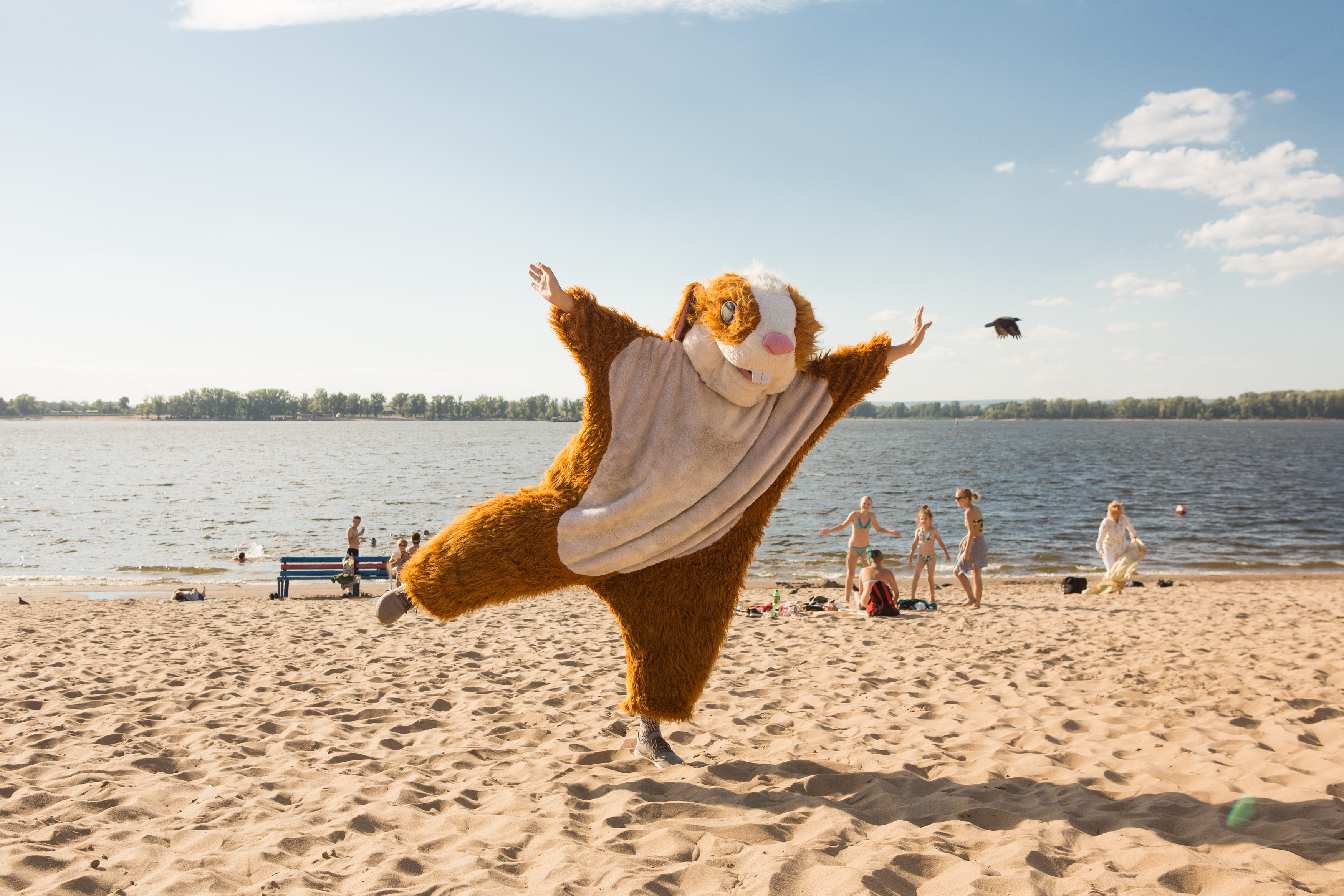 Выставка «Безумие Волги»