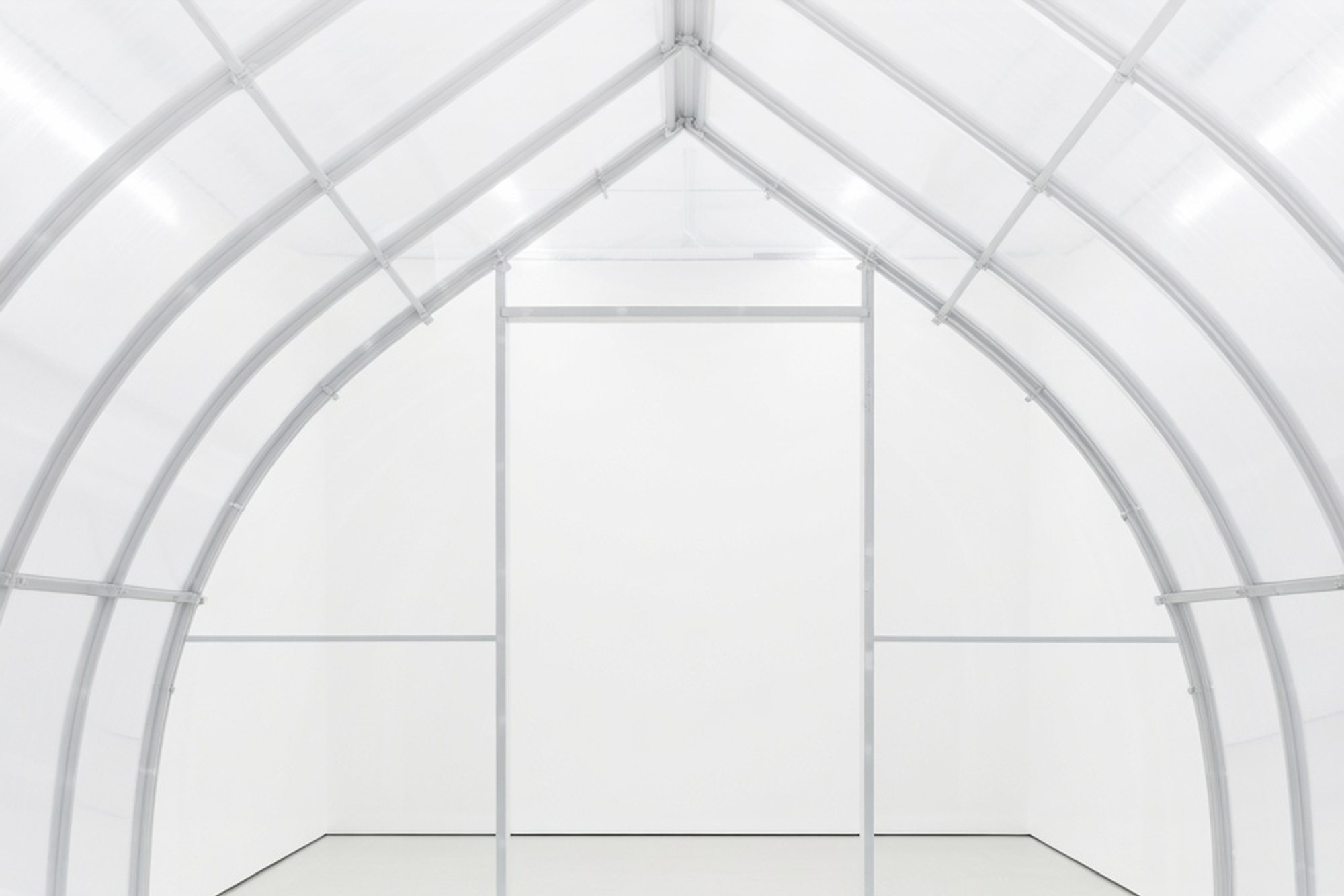 Выставка «Убежище. Заговор тополей. Акт III»