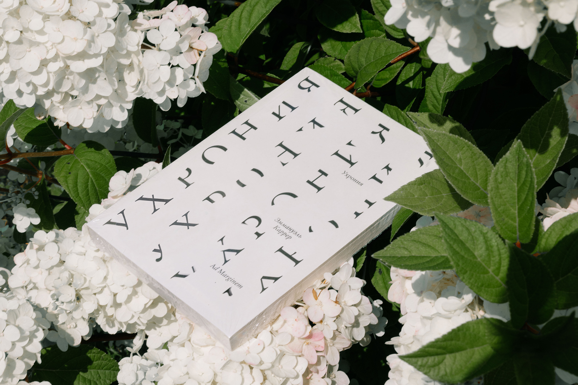 Ридинг-группа по книге «Ухрония» Эммануэля Каррера