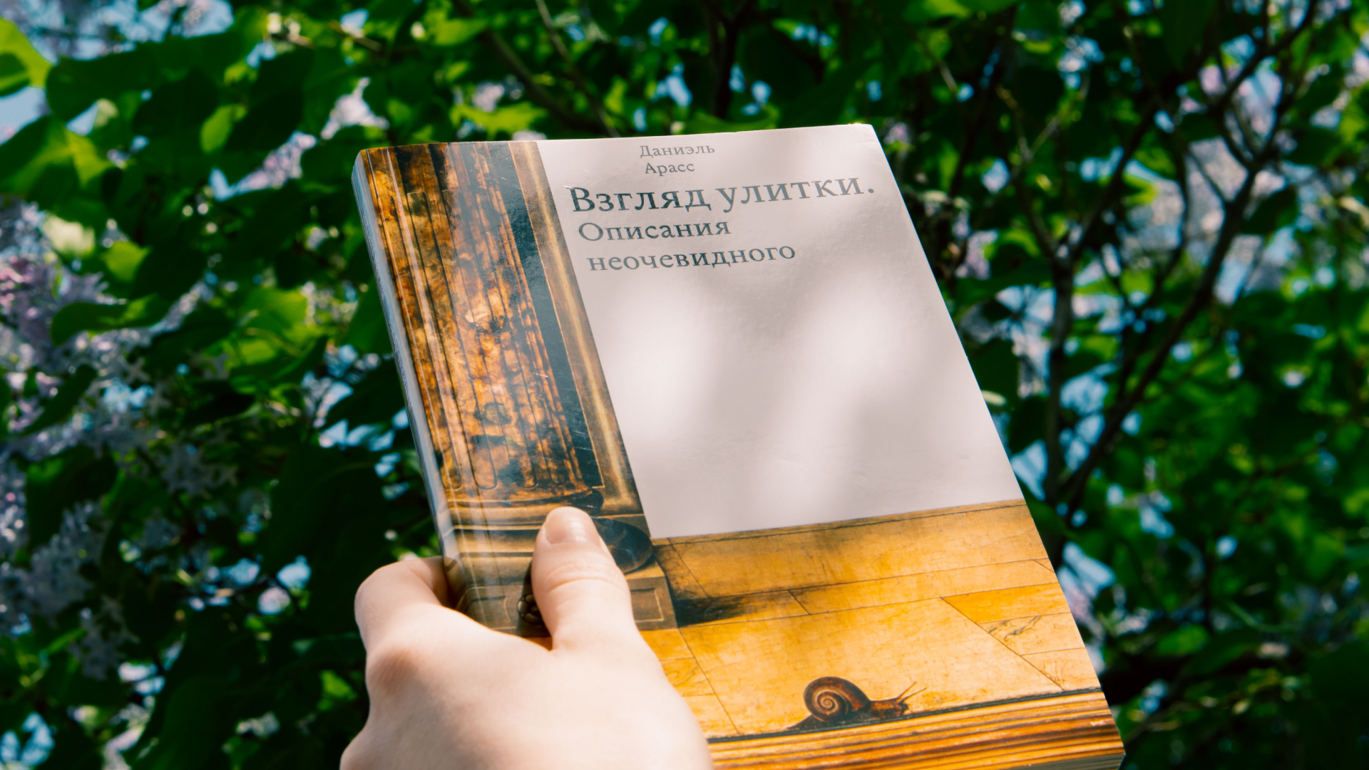 Ридинг-группа «Взгляд улитки. Описания неочевидного», Даниэль Арасс